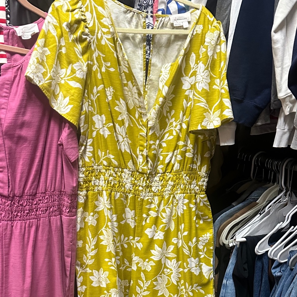 Anthropologie Somerset Jumpsuit